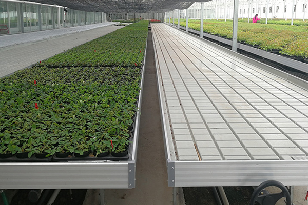 無土栽培，無土栽培技術，無土栽培設備