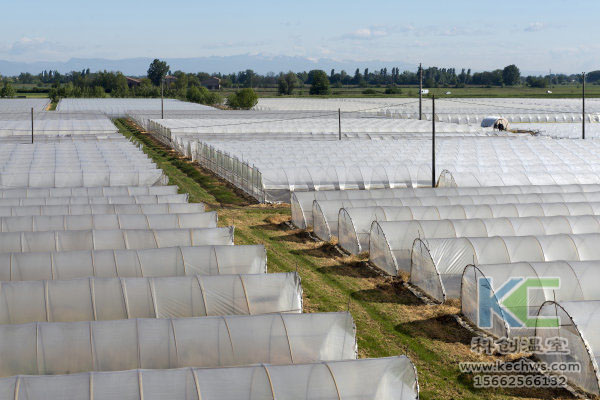 無土栽培，無土栽培技術，無土栽培設備