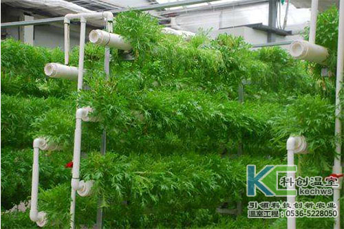 無(wú)土栽培，無(wú)土栽培技術(shù)，無(wú)土栽培設(shè)備