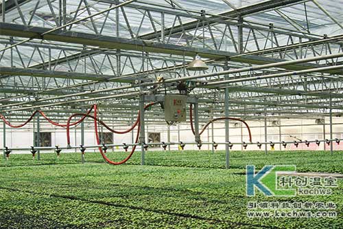 無土栽培，無土栽培技術，無土栽培設備