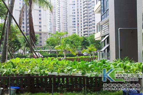 無土栽培，無土栽培技術，無土栽培設備