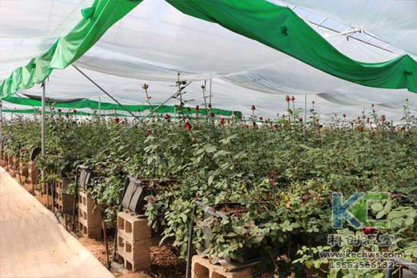 無土栽培，無土栽培技術，無土栽培設備
