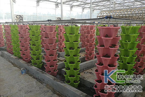 無土栽培,無土栽培技術,工程