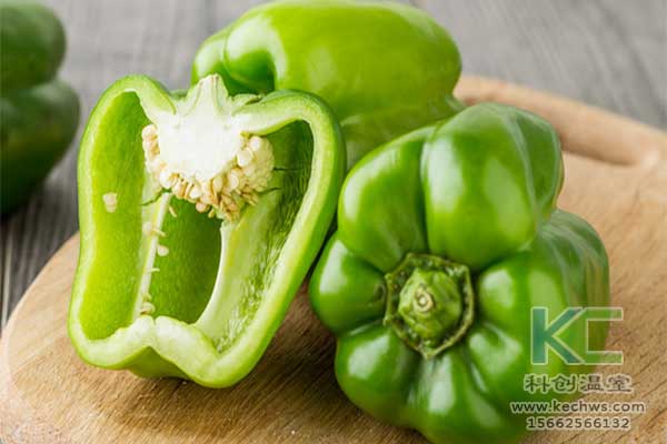 無土栽培，無土栽培技術