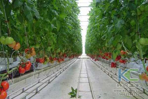 無土栽培，無土栽培技術(shù)，無土栽培設備