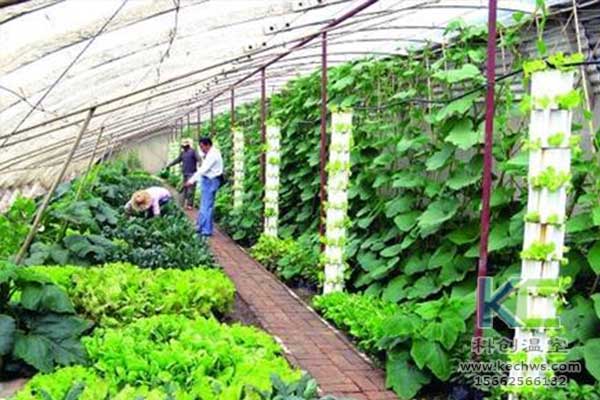 無土栽培，無土栽培技術，無土栽培設備