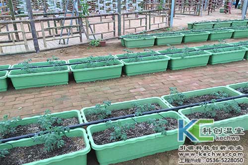 基質(zhì)栽培，無土栽培