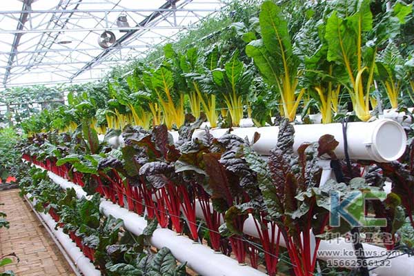 無土栽培，無土栽培技術，無土栽培設備