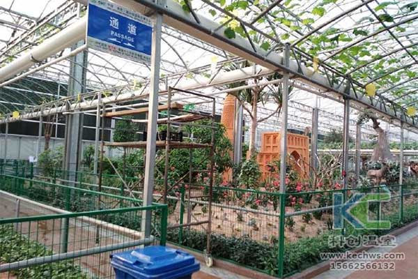 無土栽培，無土栽培技術，無土栽培設備