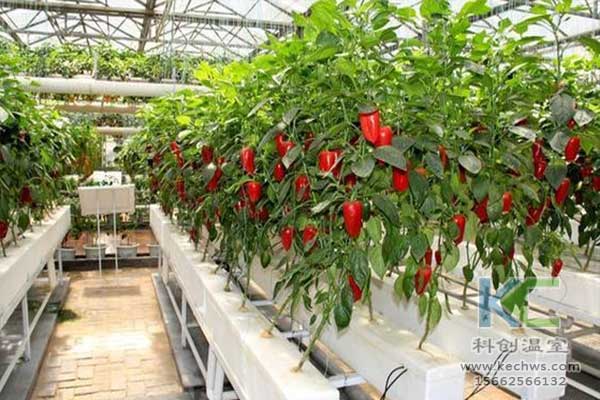 無土栽培，無土栽培技術(shù)，無土栽培設備