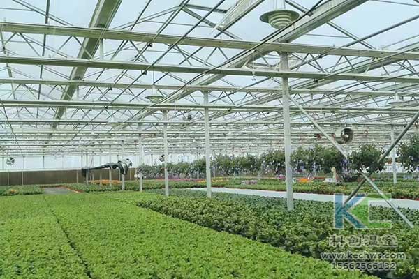 無土栽培，無土栽培技術，無土栽培設備