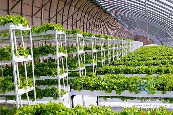 無土栽培，無土栽培技術，無土栽培設備
