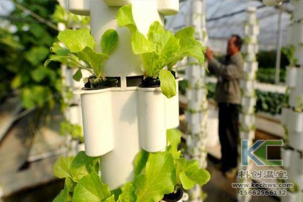 無土栽培，無土栽培技術(shù)，無土栽培設(shè)備