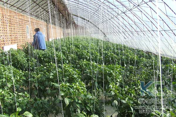 無土栽培，無土栽培基質(zhì)