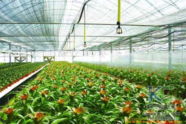 無土栽培，無土栽培技術，無土栽培設備