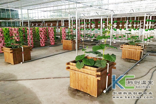 無(wú)土栽培,基質(zhì)栽培,水培