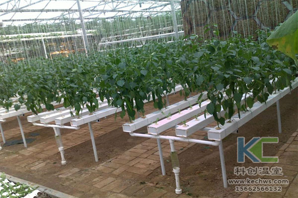 無(wú)土栽培，無(wú)土栽培技術(shù)，無(wú)土栽培設(shè)備