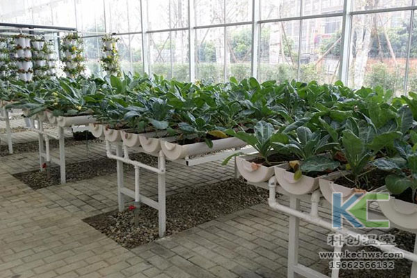 無土栽培，無土栽培技術，無土栽培設備