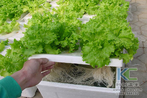 無(wú)土栽培技術(shù)，休閑農(nóng)業(yè)，無(wú)土栽培，溫室大棚