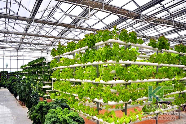 無土栽培，無土栽培技術，蔬菜栽培