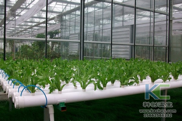 蔬菜無土栽培，無土栽培技術，無土栽培設備，無土栽培
