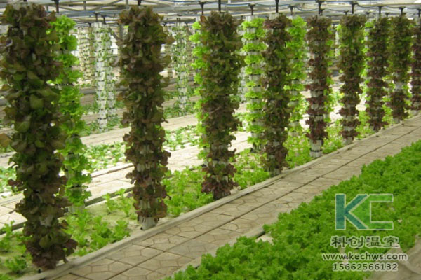 蔬菜大棚無土栽培，無土栽培技術，溫室大棚，大棚