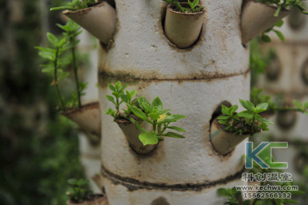 無土栽培，無土栽培技術，無土栽培設備