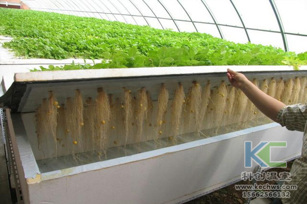 無土栽培，無土栽培技術(shù)，無土栽培設備