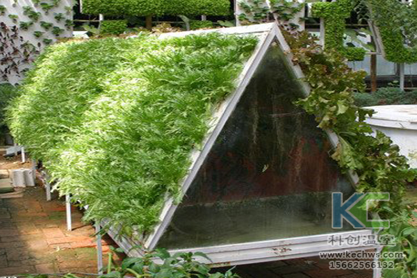 無土栽培技術，無土栽培蔬菜，無土栽培設備，溫室大棚 