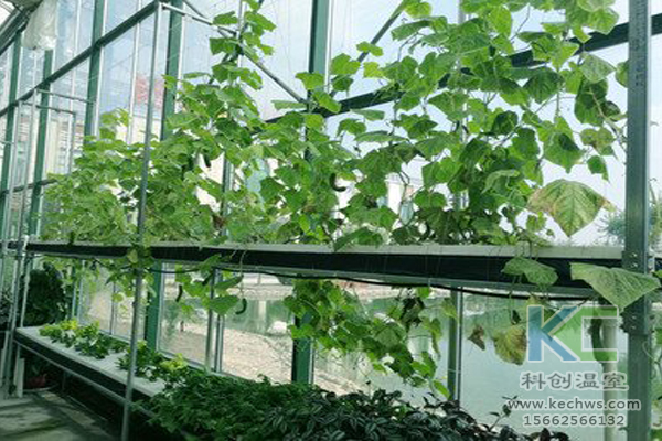 無土栽培技術，無土栽培設備，無土栽培，溫室大棚