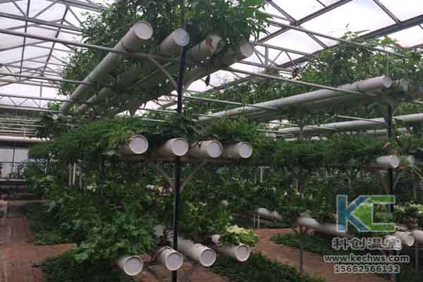 無土栽培技術，無土栽培設備，溫室大棚，蔬菜大棚