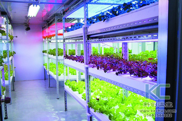 蔬菜無土栽培，無土栽培技術，無土栽培設備，無土栽培
