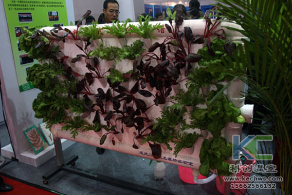 蔬菜大棚無土栽培，無土栽培技術，溫室大棚，大棚