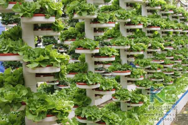 無土栽培技術,無土栽培設備,無土栽培,溫室大棚