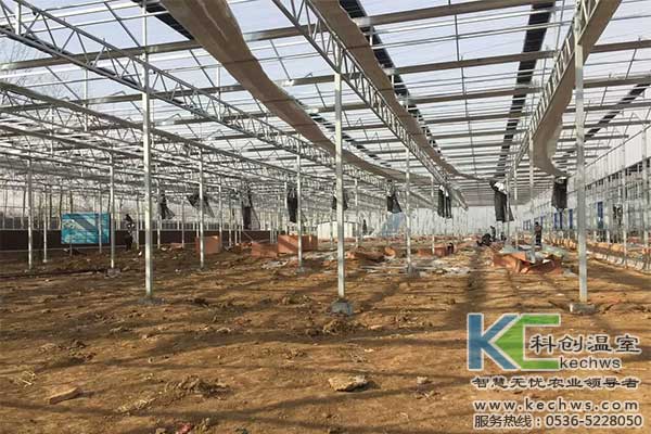 無土栽培，無土栽培技術(shù)，無土栽培設備