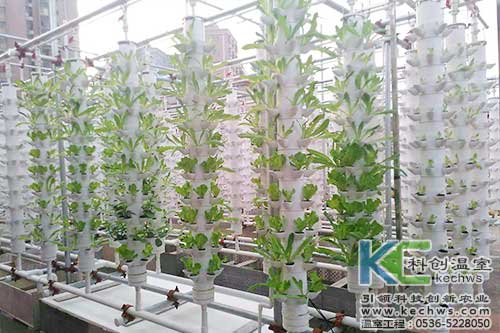 立柱栽培，無土栽培，天空農(nóng)場(chǎng)