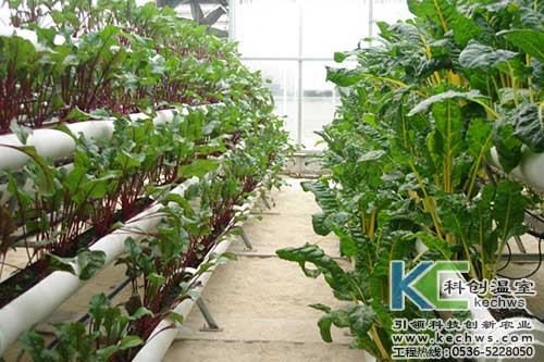 無(wú)土栽培，無(wú)土栽培技術(shù)，無(wú)土栽培設(shè)備