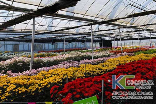 無(wú)土栽培，無(wú)土栽培技術(shù)，無(wú)土栽培設(shè)備