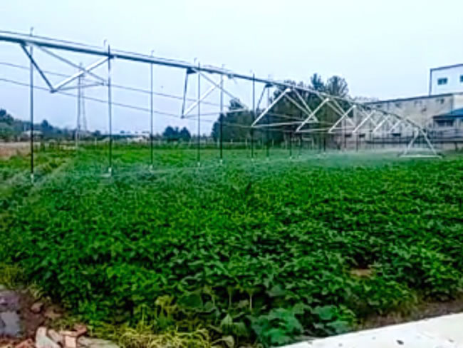 無土栽培，無土栽培技術，無土栽培設備