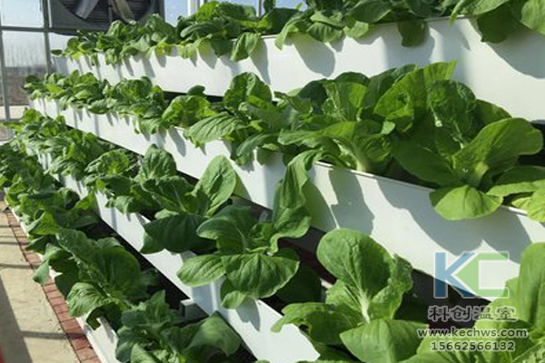 無土栽培，無土栽培技術，無土栽培設備