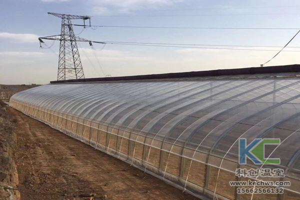 無(wú)土栽培,無(wú)土栽培技術(shù),無(wú)土栽培設(shè)備