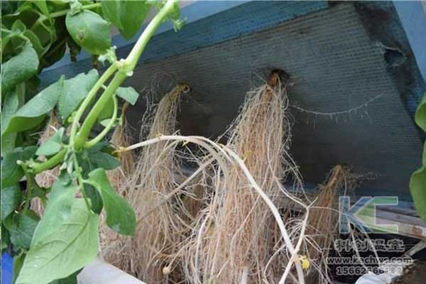 無(wú)土栽培，無(wú)土栽培技術(shù)，無(wú)土栽培設(shè)備