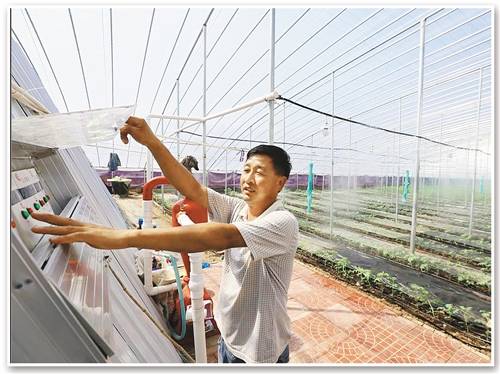 無土栽培，無土栽培技術，無土栽培設備