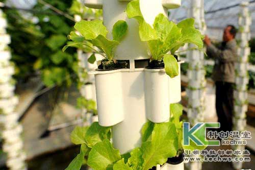 無土栽培，無土栽培技術，無土栽培設備