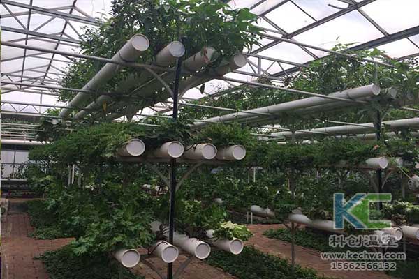 無土栽培，無土栽培技術，無土栽培設備