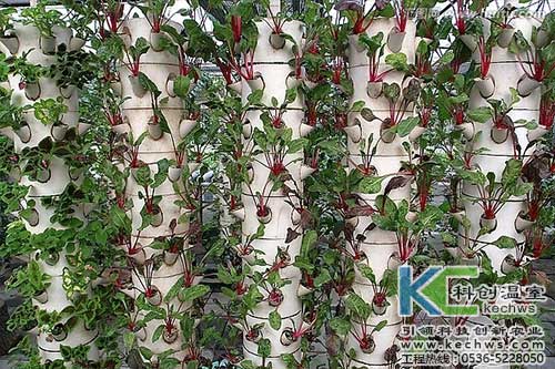 無土栽培，無土栽培技術(shù)，無土栽培設(shè)備