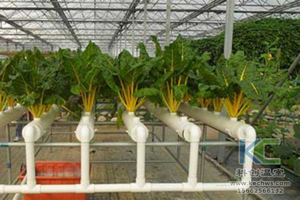 無土栽培，無土栽培技術，無土栽培設備