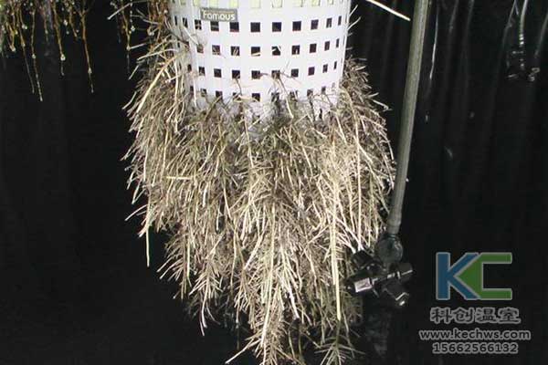 無土栽培，無土栽培技術