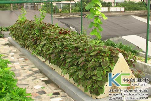 無土栽培，無土栽培技術，無土栽培設備