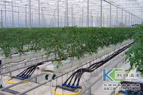 無土栽培，無土栽培技術，無土栽培設備